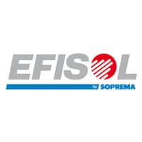 Logo Efisol